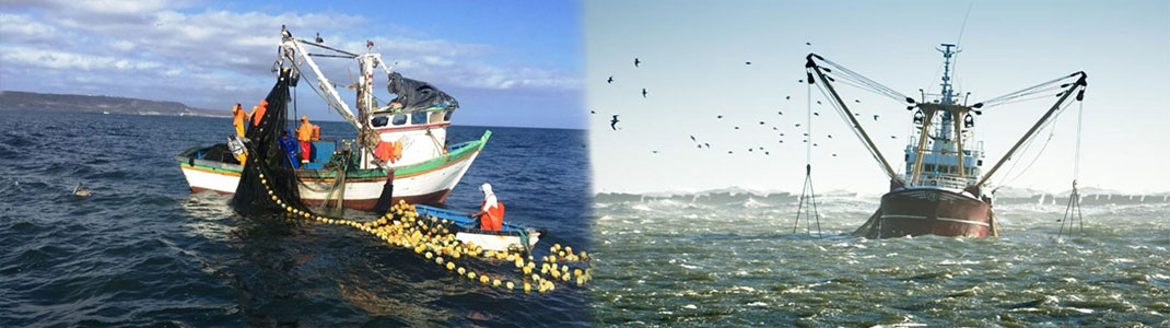 Patrón-de-pesca-artesanal